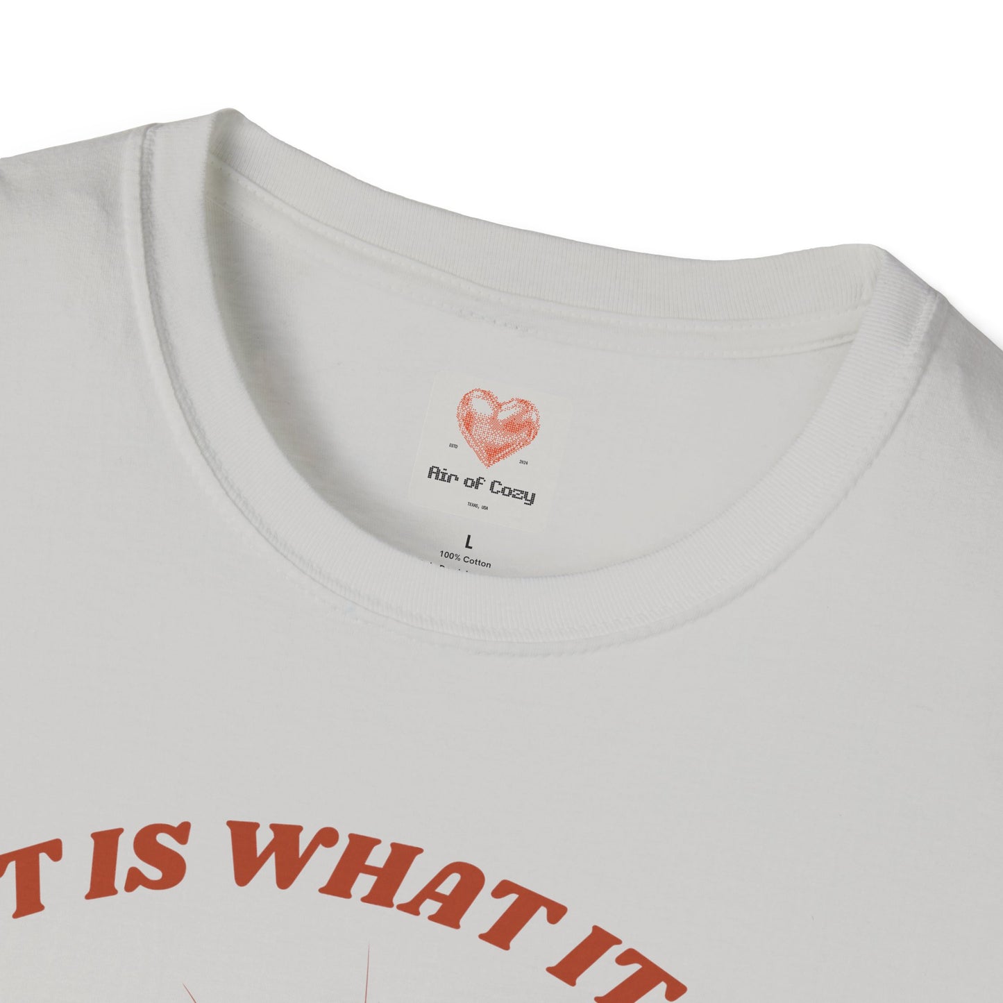 It Is What It Is T-Shirt