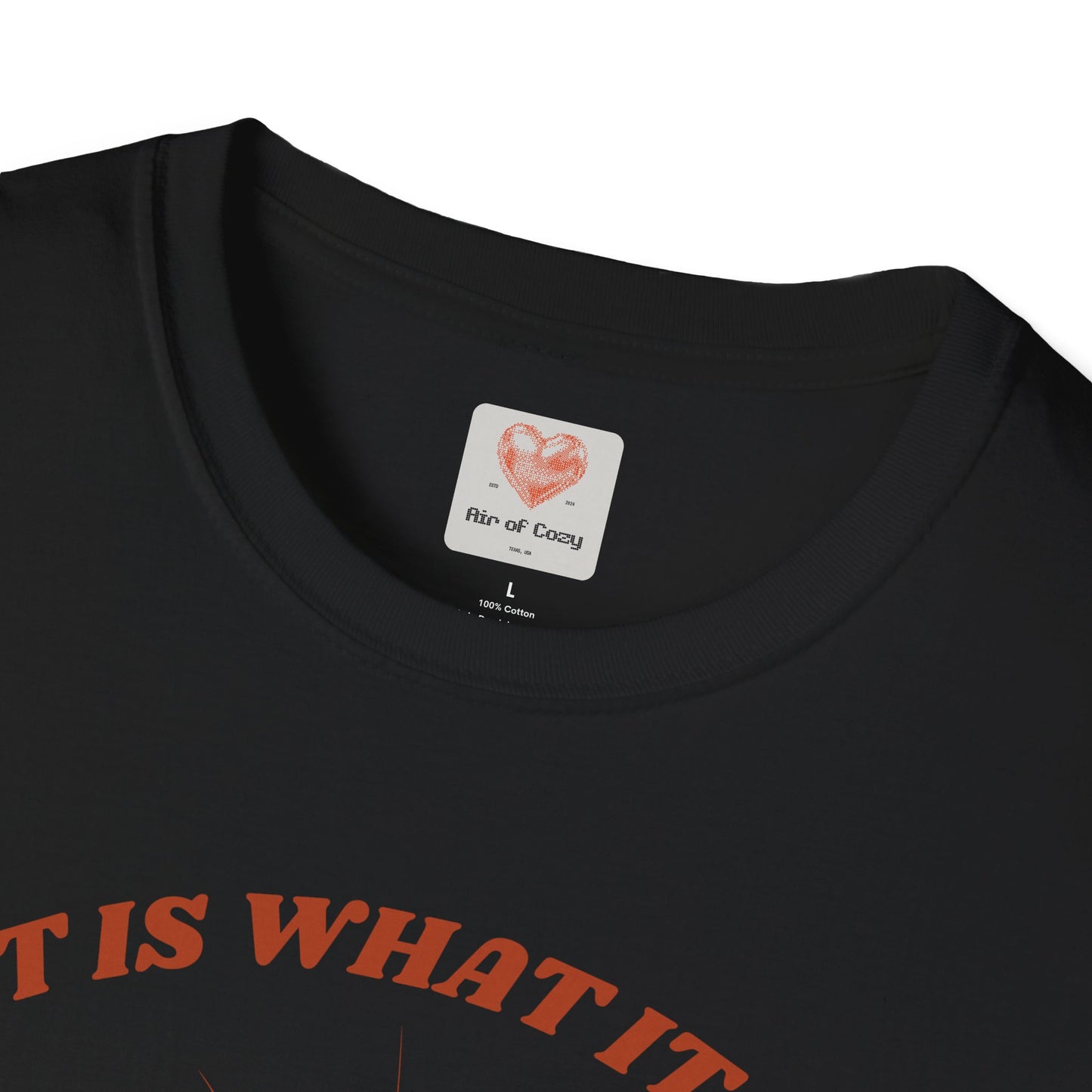 It Is What It Is T-Shirt