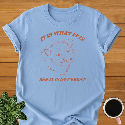 It Is What It Is T-Shirt