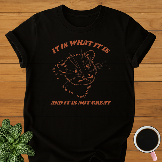 It Is What It Is T-Shirt